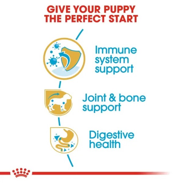 Royal Canin Dachshund Puppy - Суха храна за подрастващи дакели от 2 до 10 месечна възраст - 1.5 кг